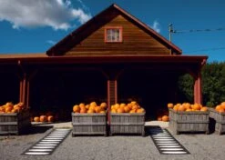 Ella Matte 70x450 Cm, Black/Vanilla -Hay || Brafab || Fatboy Verkäufe pappelina ella matte 70x225 cm black vanilla 2