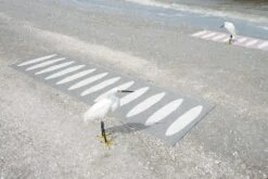 Ella Matte 70x450 Cm, Black/Vanilla -Hay || Brafab || Fatboy Verkäufe pappelina ella matte 70x225 cm black vanilla 3